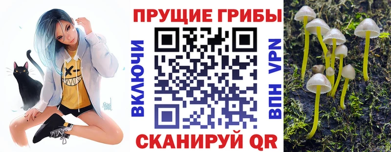 Галлюциногенные грибы Magic Shrooms  наркошоп  Шебекино 